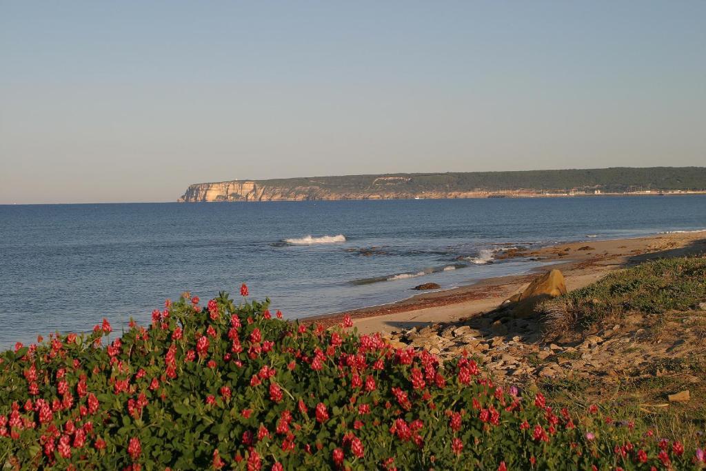 Finca El Abuelo Barbate Cameră foto